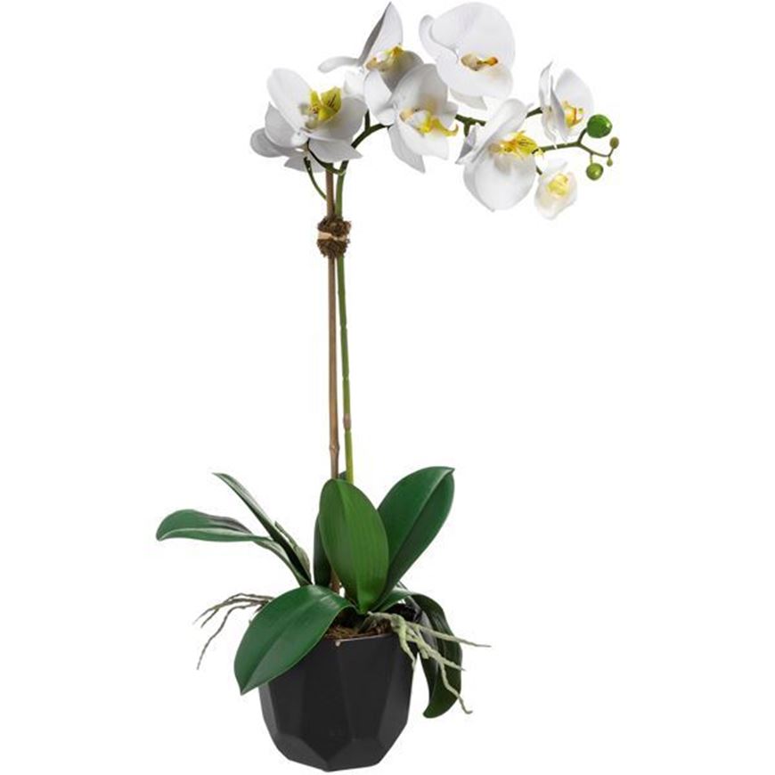 ORCHID pot h60cm white/black