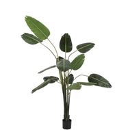 TRAVELLERS palm tree h210cm green