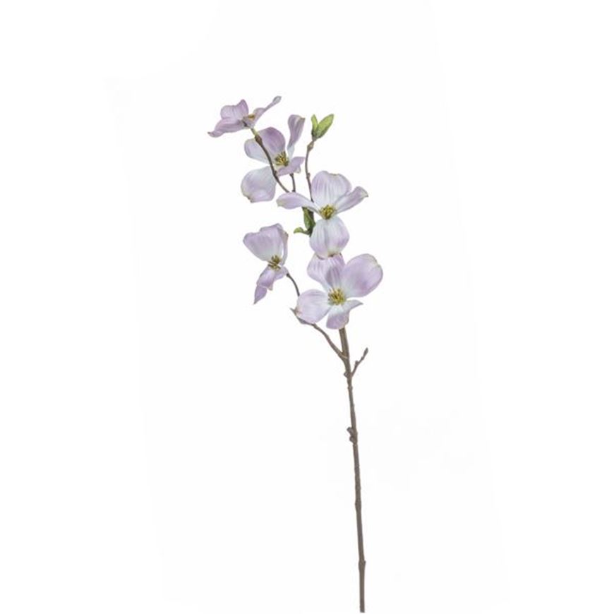 Picture of DOGWOOD stem h63cm pink