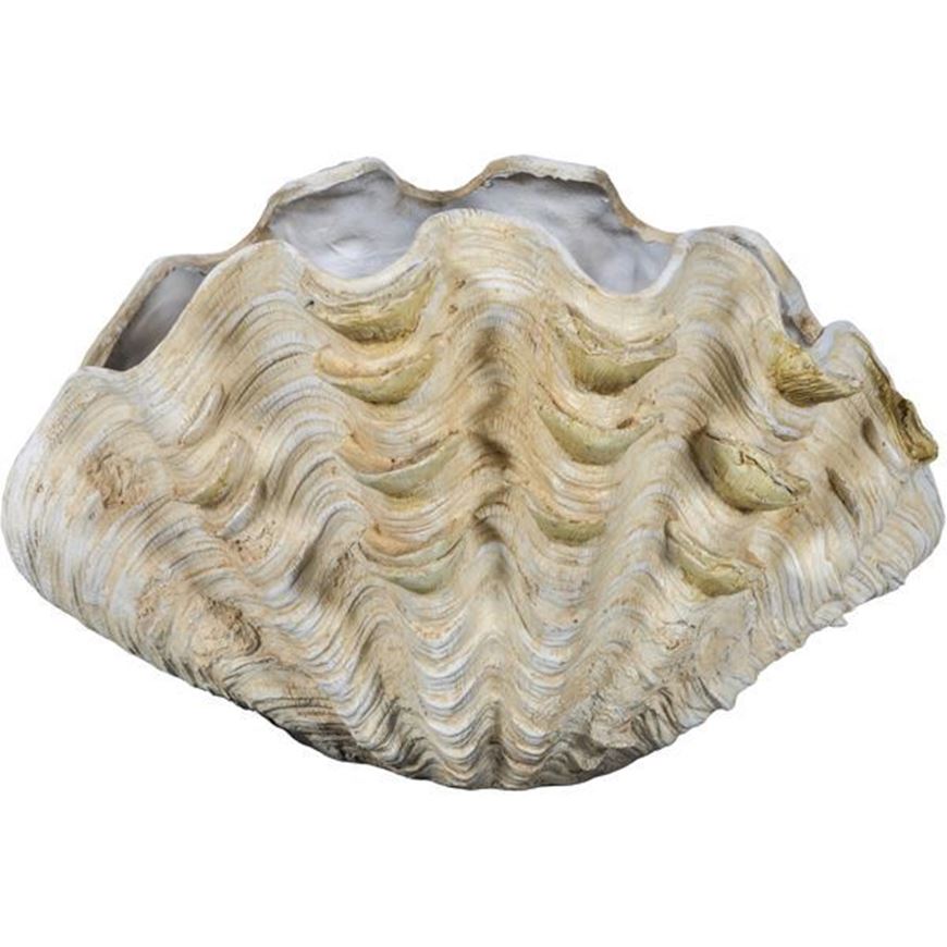 MAGNUS shell decoration h30cm cream