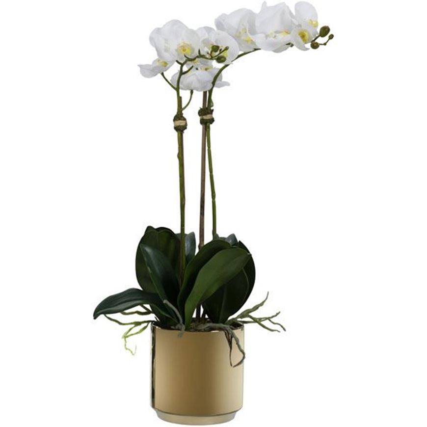 Picture of ORCHID pot h70cm white/gold