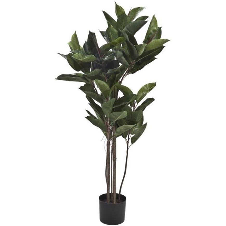 RUBBER plant h120cm green