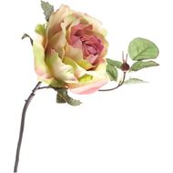 ROSE stem h24cm pink/cream
