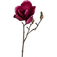 MAGNOLIA stem h30cm pink