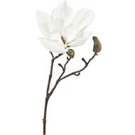 MAGNOLIA stem h30cm white