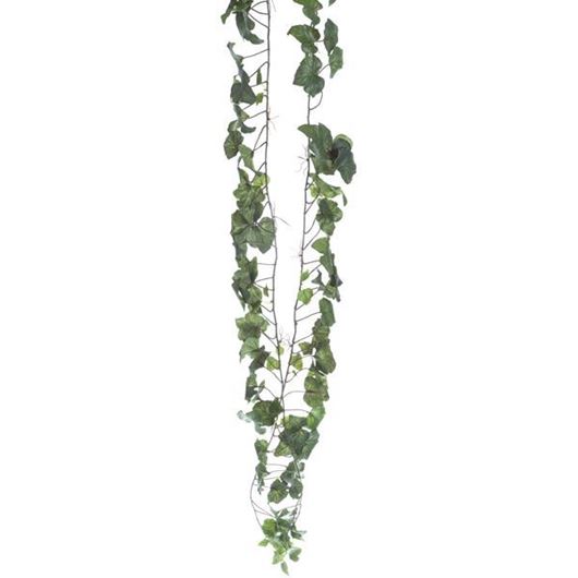 HEDERA stem h180cm green