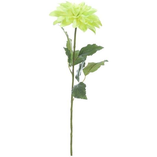 DAHLIA stem h69cm green