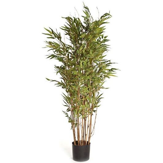 BAMBOO tree h150cm green