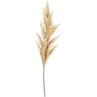 PAMPAS grass stem h120cm white