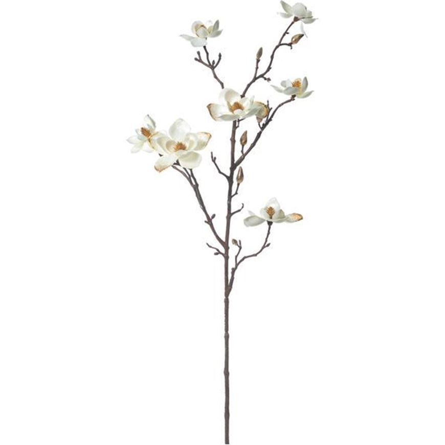 VELVET dogwood stem h83cm white