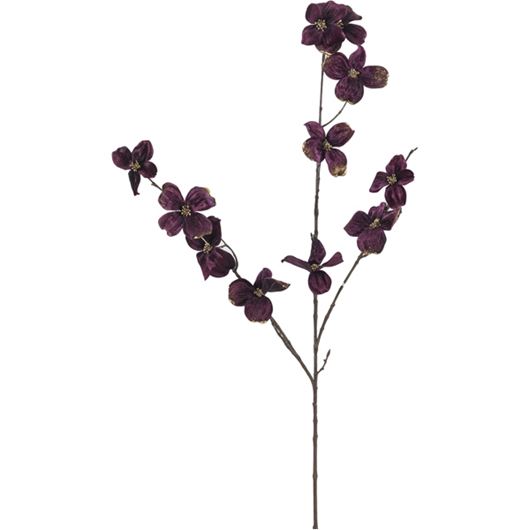 Picture of VELVET dogwood stem purple - H99cm