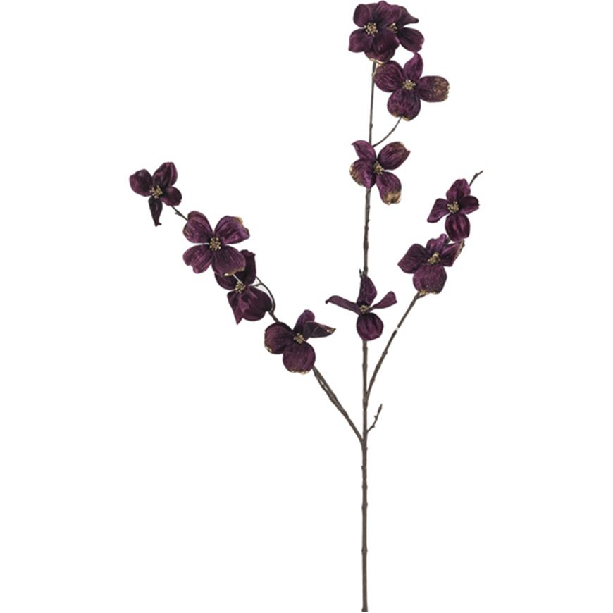Picture of VELVET dogwood stem h99cm purple