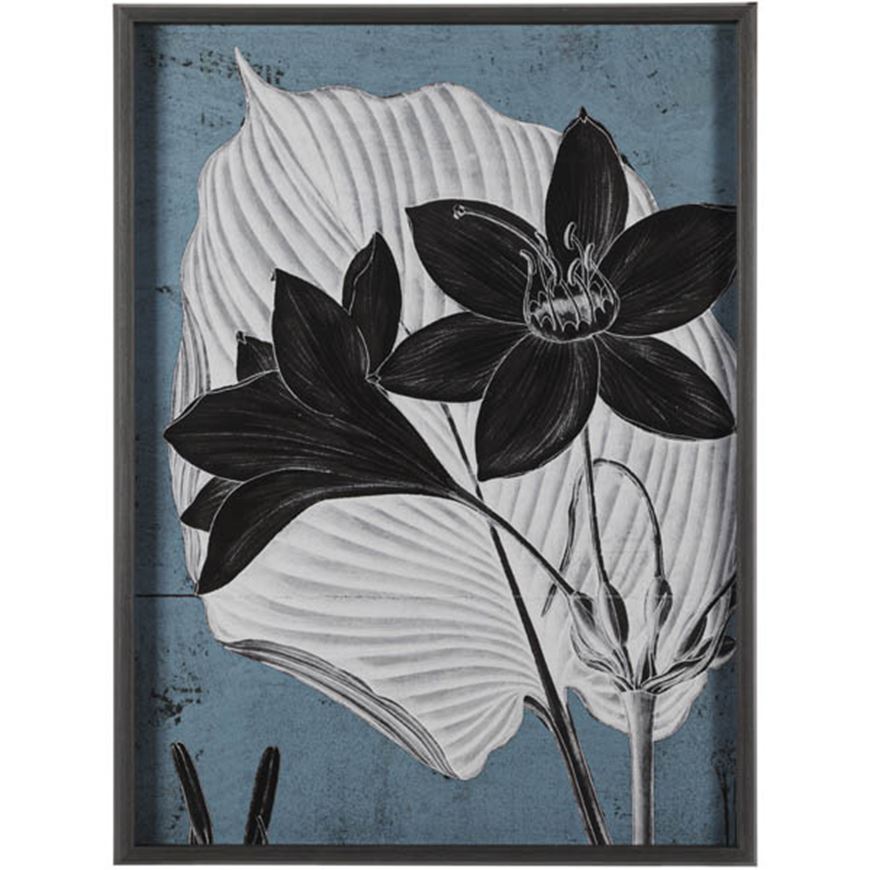 Picture of BLOOM II print black - 71x94cm
