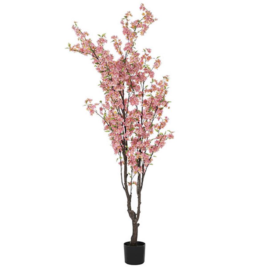 Picture of CHERRY blossom tree h195cm pink