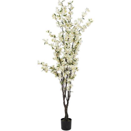 CHERRY blossom tree h165cm white
