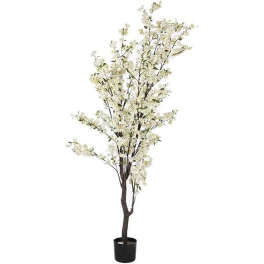 CHERRY blossom tree h240cm white