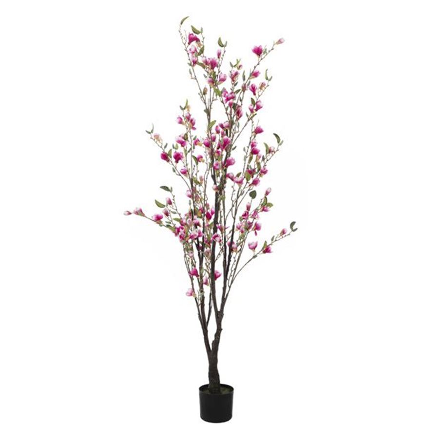 MAGNOLIA tree h165cm pink