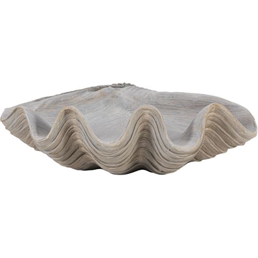 Picture of MAGNUS shell decoration h24cm grey