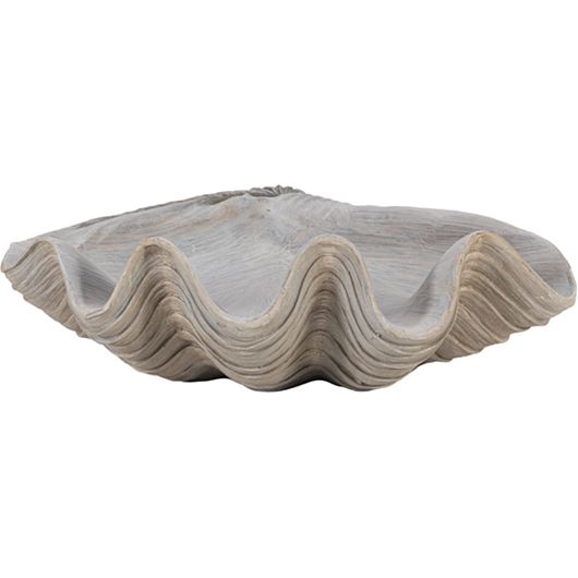 Picture of MAGNUS shell decoration grey - H24cm