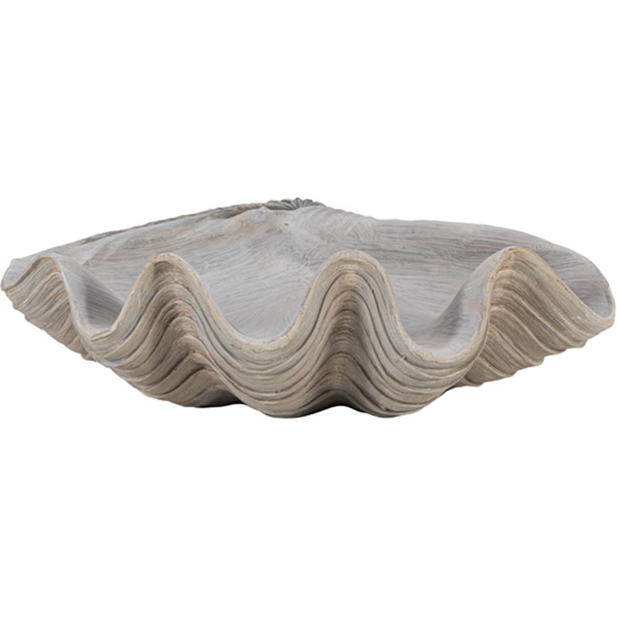 Picture of MAGNUS shell decoration h24cm grey