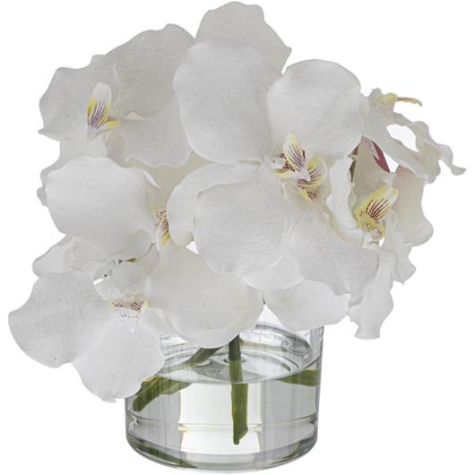Picture of VANDA arrangement white - H24cm