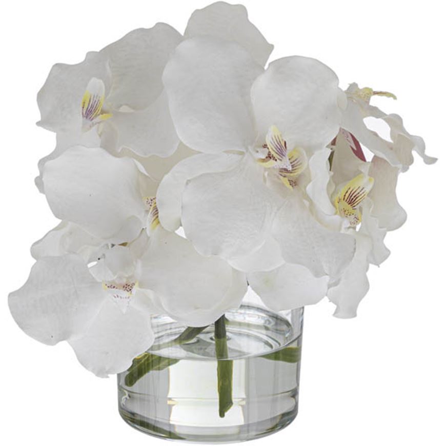 Picture of VANDA arrangement white - H24cm