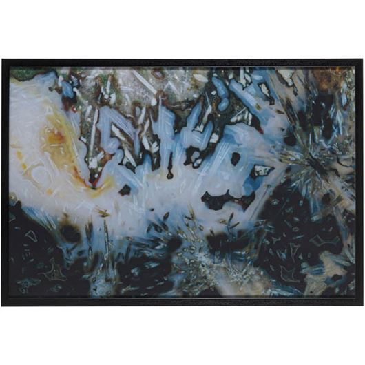 Picture of LUPUS print black - 124x84cm