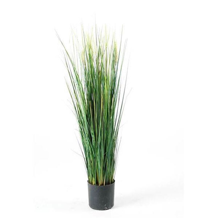 GRASS plant h50cm green