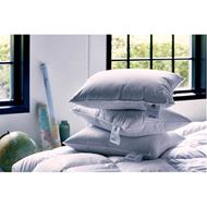 ASTRID pillow soft and high 50x70 550g white