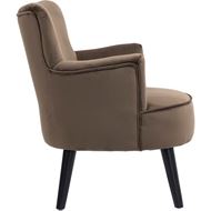 Picture of PLUSH armchair brown