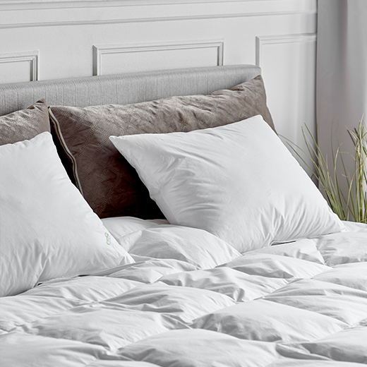 Quilt, Pillows and Inners